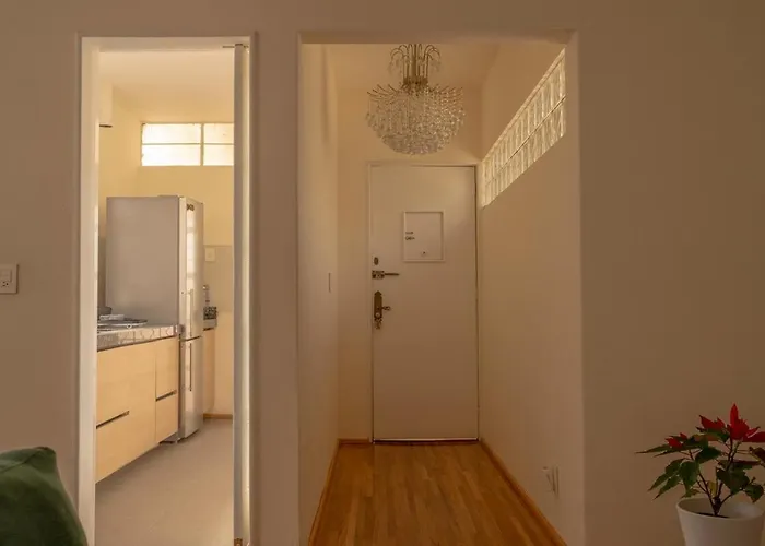 Comfort And Style In Condesa