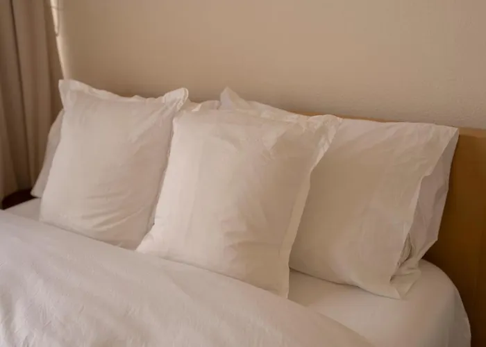 Apartment Comfort And Style In Condesa Mexico City